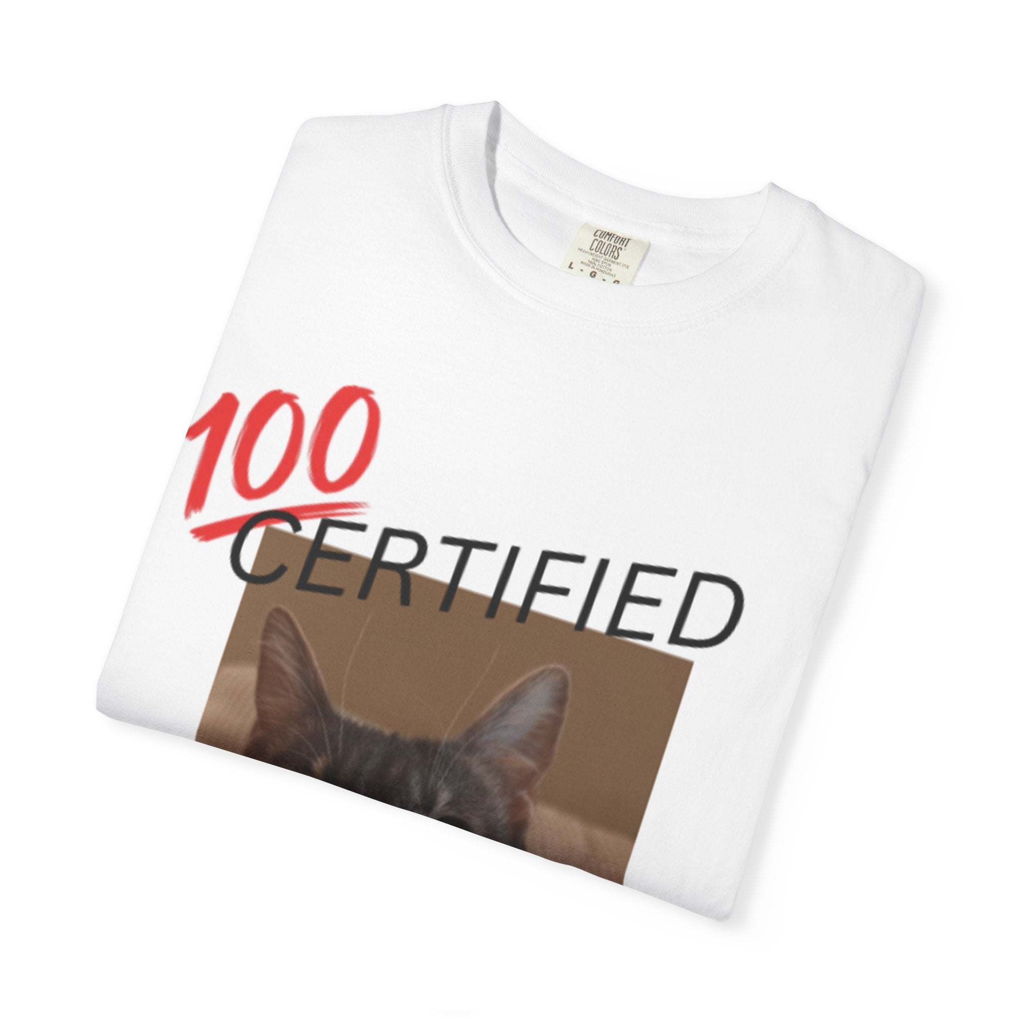 Certified Feminist