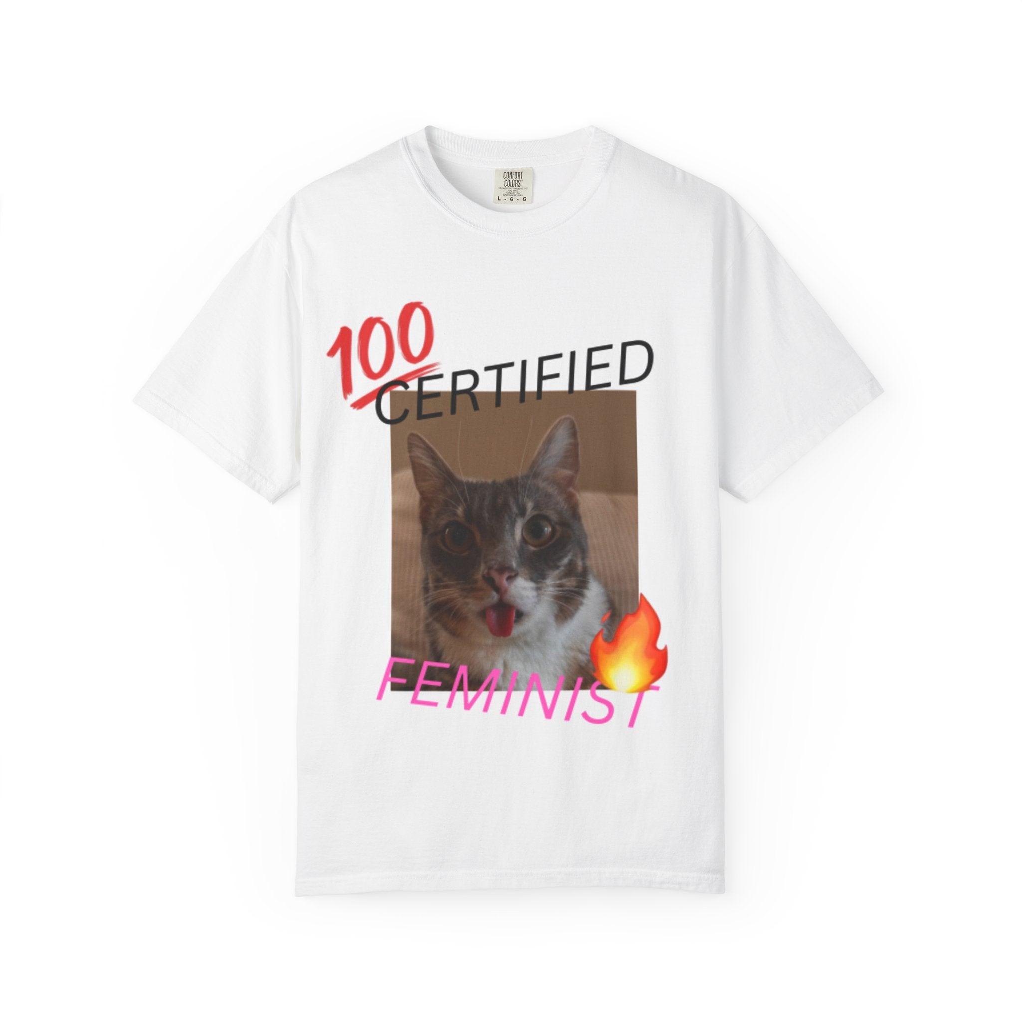 Certified Feminist